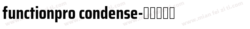functionpro condense字体转换